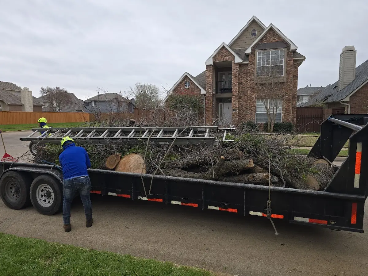 Expert Tree Fertilization with proper safety equipment in Saraland